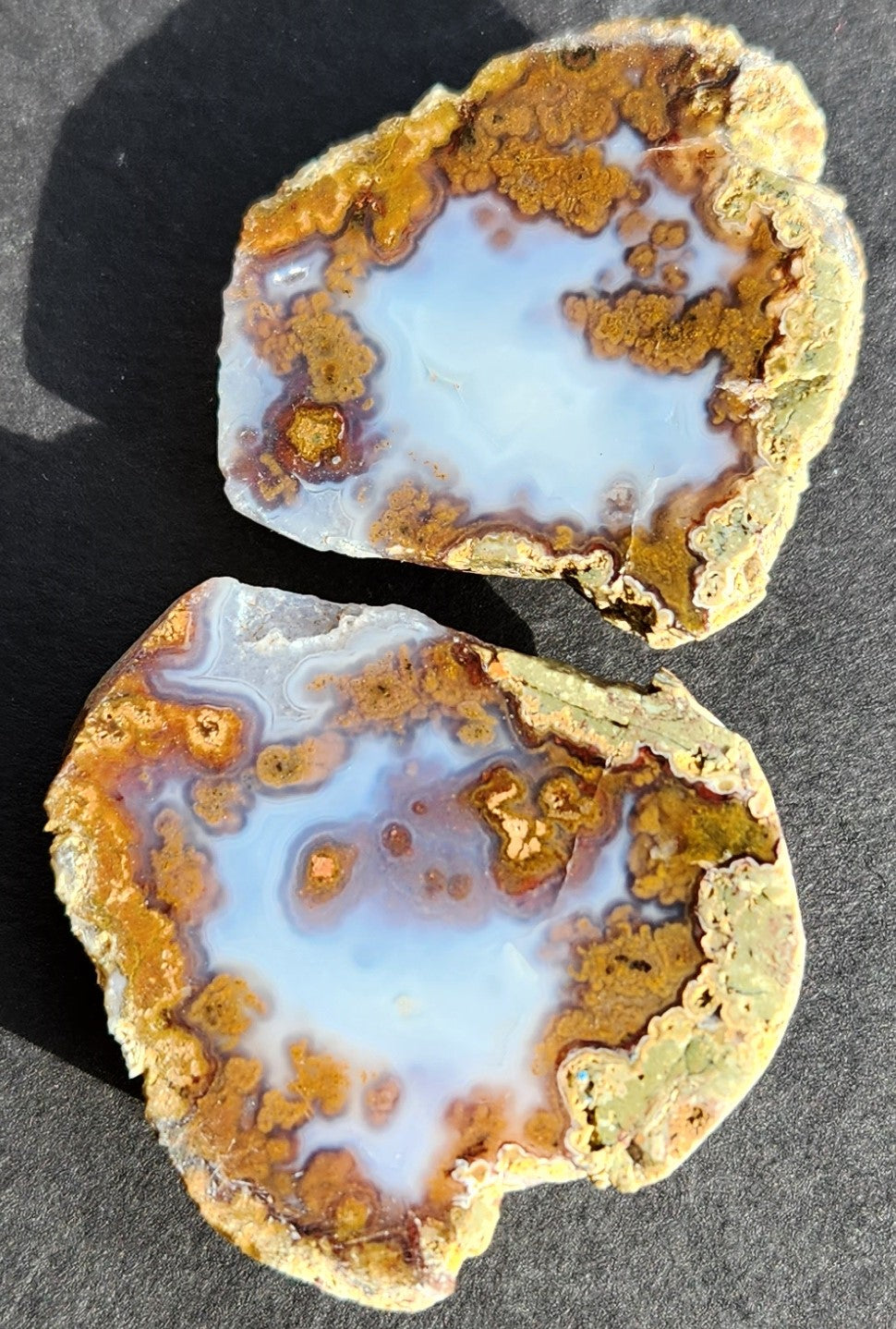 Nodule d'agate bleue visage poli avec mousse de chocolat (paire)