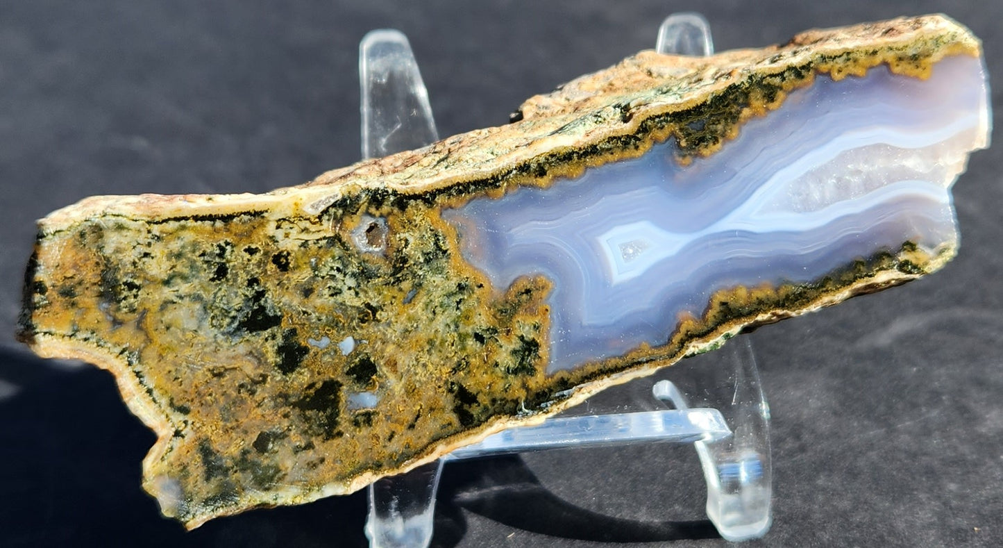 Ágata de costura de musgo verde de cara pulida con fortificaciones azules