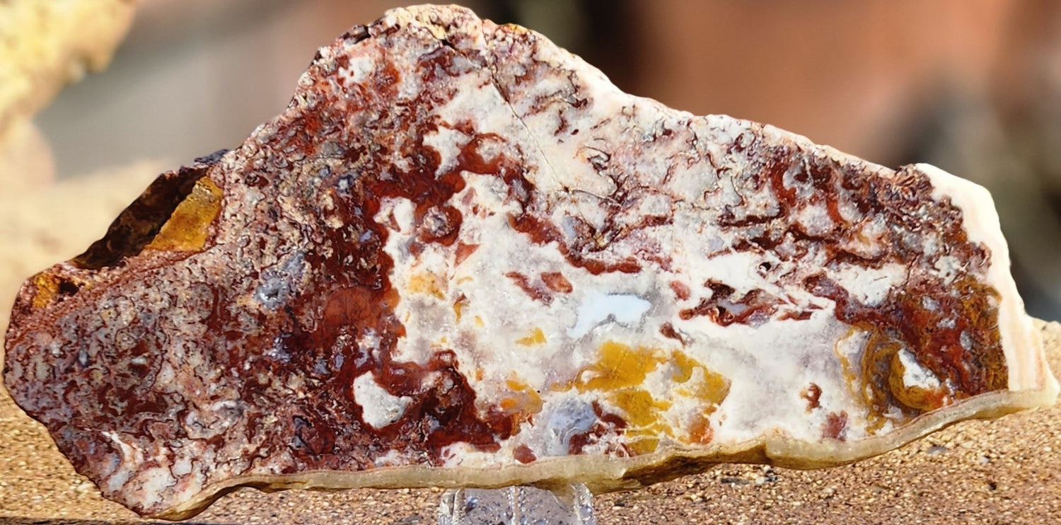 12 Dry Falls Agates