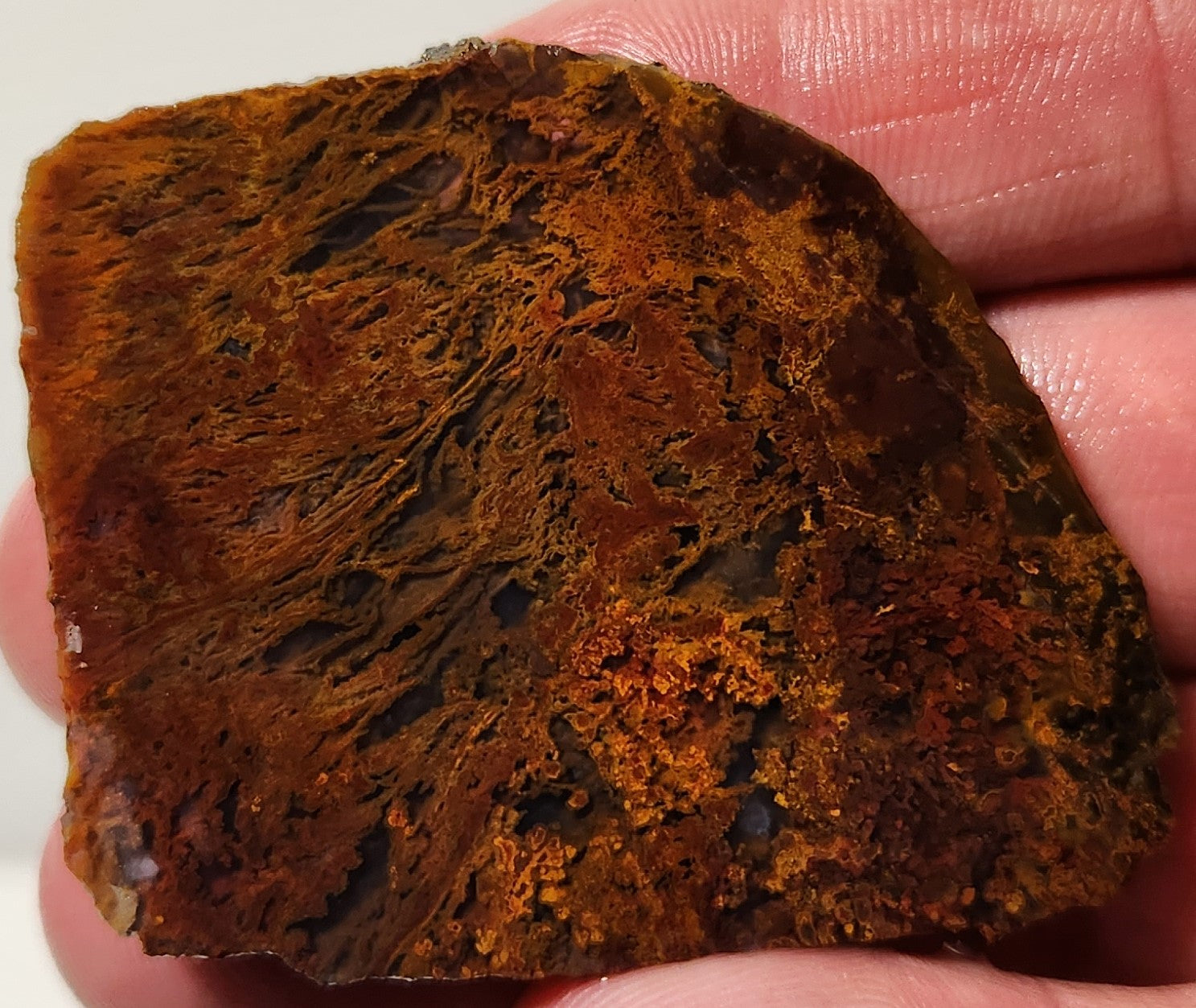Bloody Basin Agates