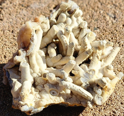 Tube Agate