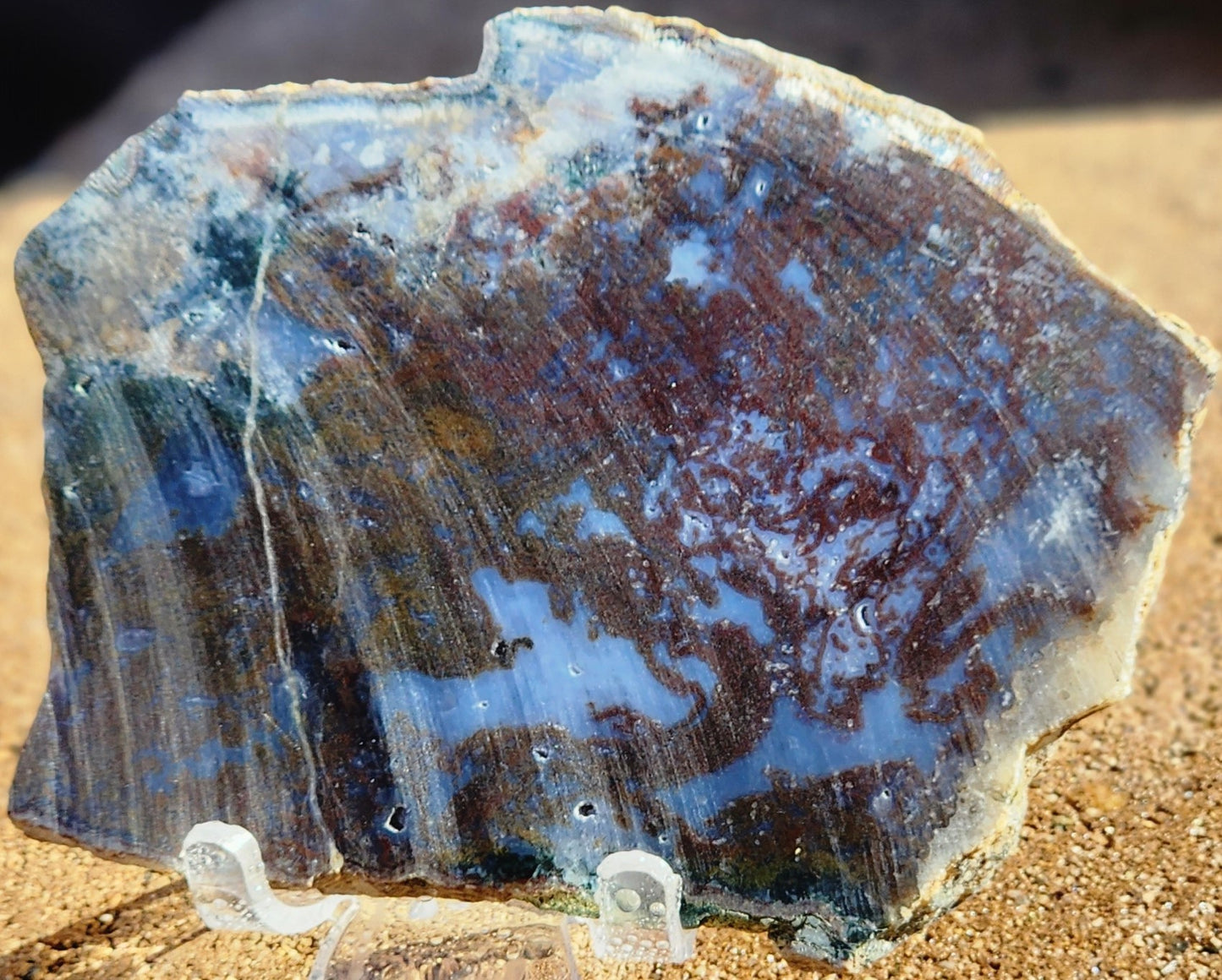 Rodeo Flats Red/Green/Orange Plume Agate Slab (end piece)