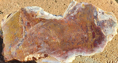 Dalle d’agate mousse rouge/orange Gap Creek