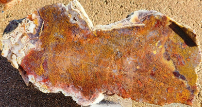 Dalle d’agate mousse rouge/orange Gap Creek