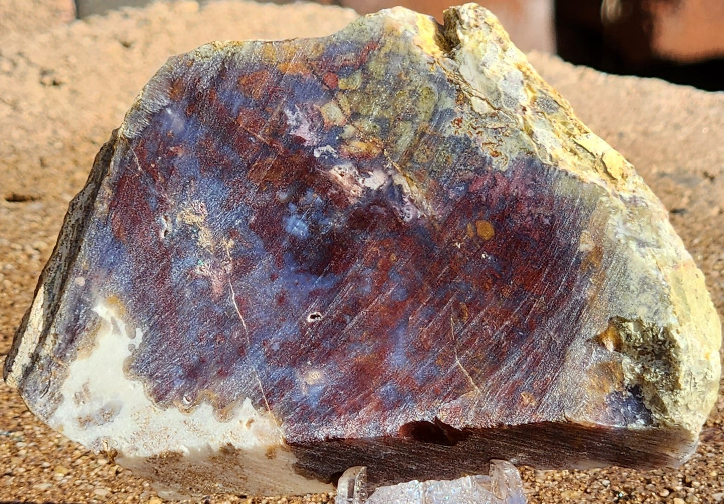Rodeo Flats Red/Orange Plume Agate Slab