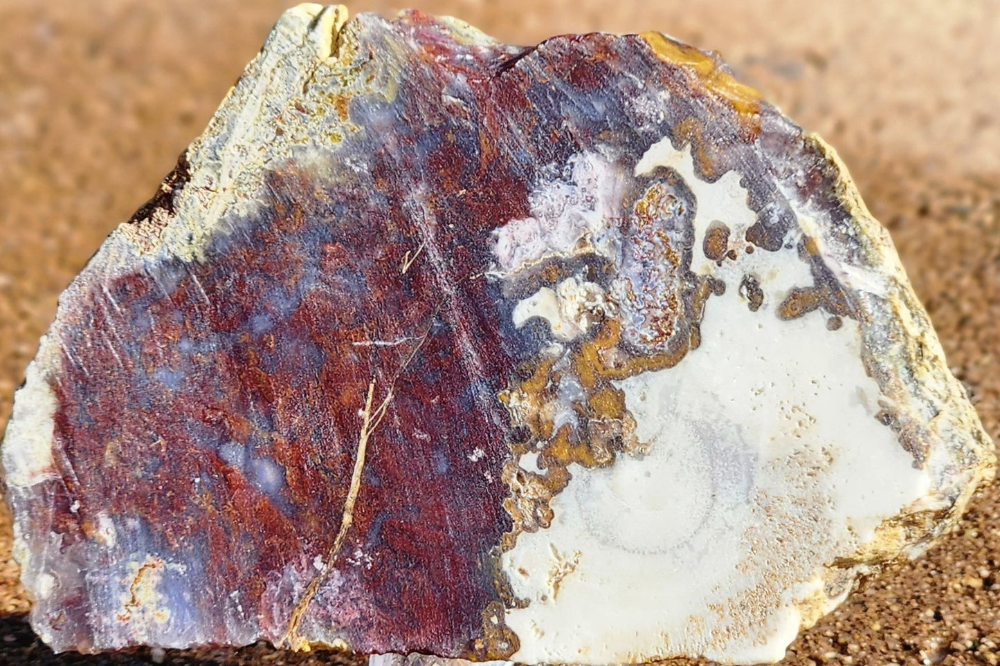 Rodeo Flats Red/Orange Plume Agate Slab