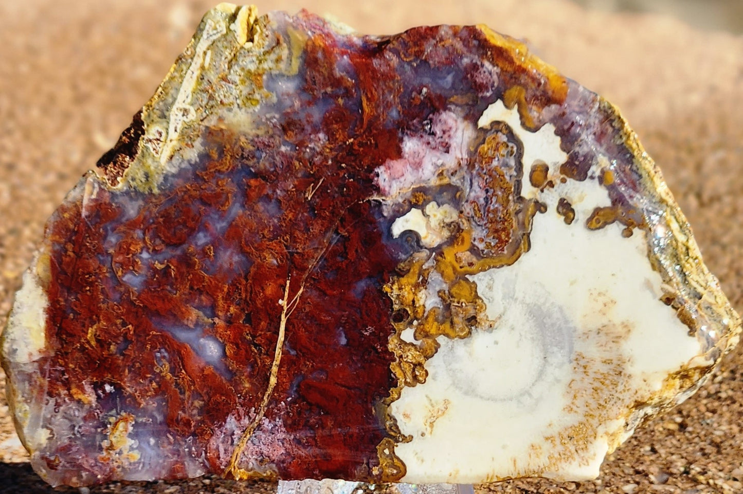 Rodeo Flats Red/Orange Plume Agate Slab