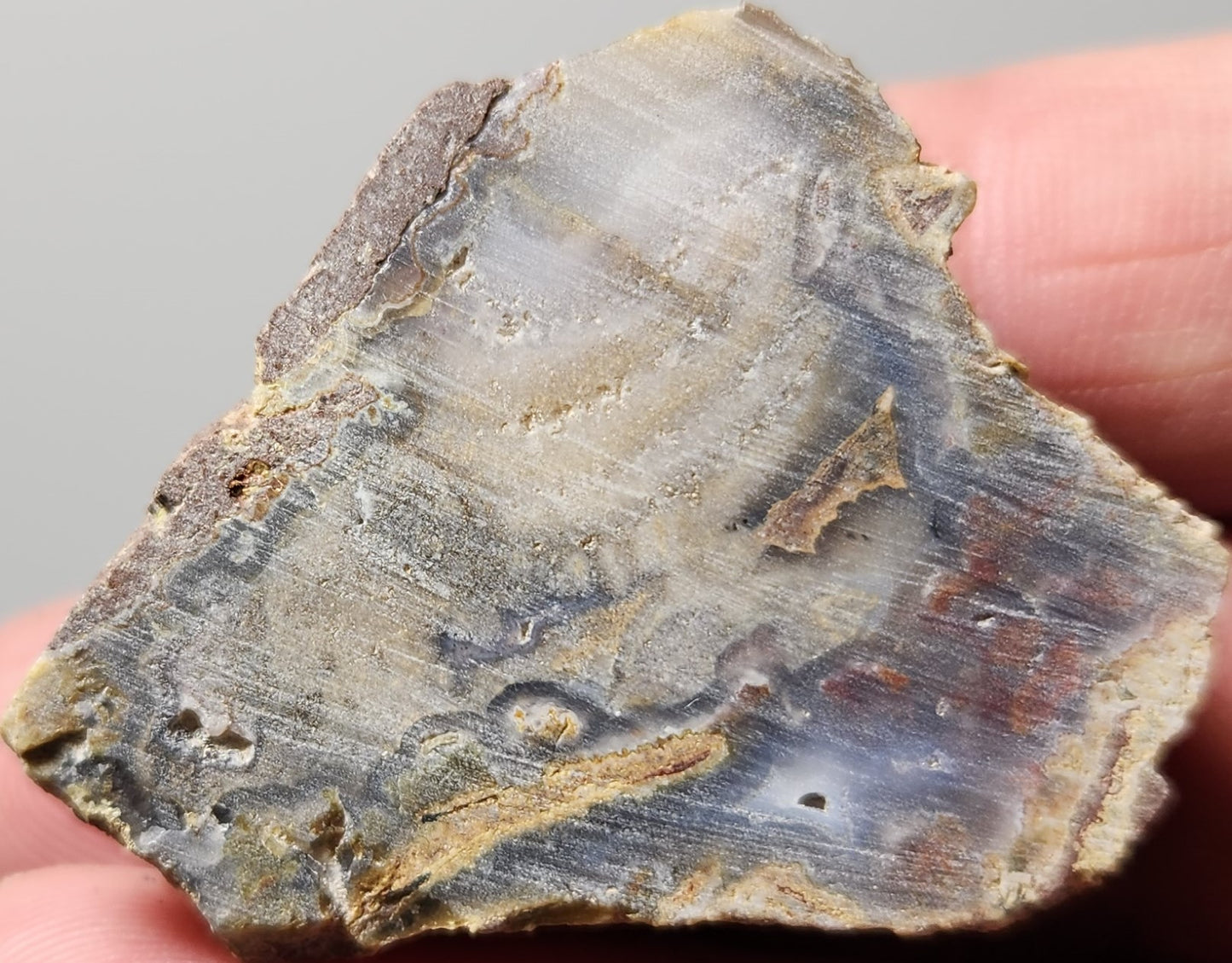 Rodeo Flats  Blue Fortification with Orange/Green Plume Agate Slab (End Piece)
