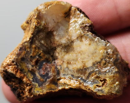 Rodeo Flats  Blue Fortification with Orange/Green Plume Agate Slab (End Piece)