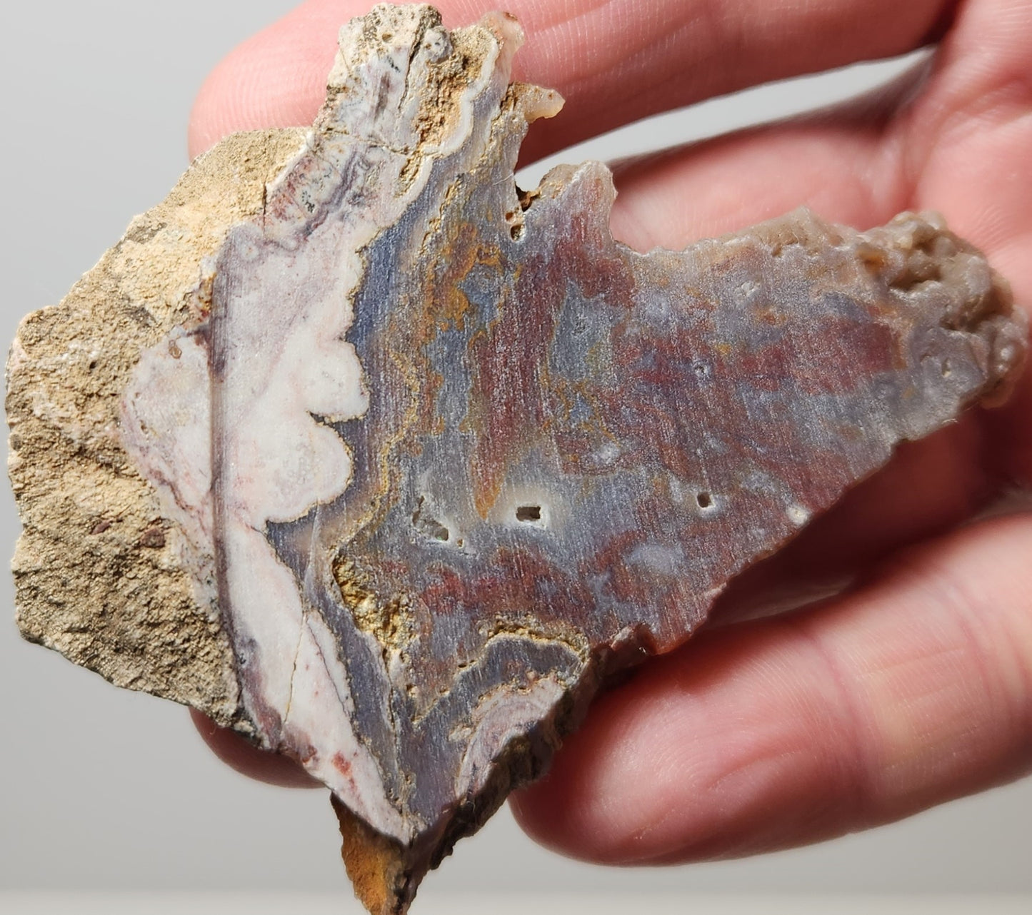 Rodeo Flats Blue Fortification with Red Plume and Onyx Agate Slab (End Piece)
