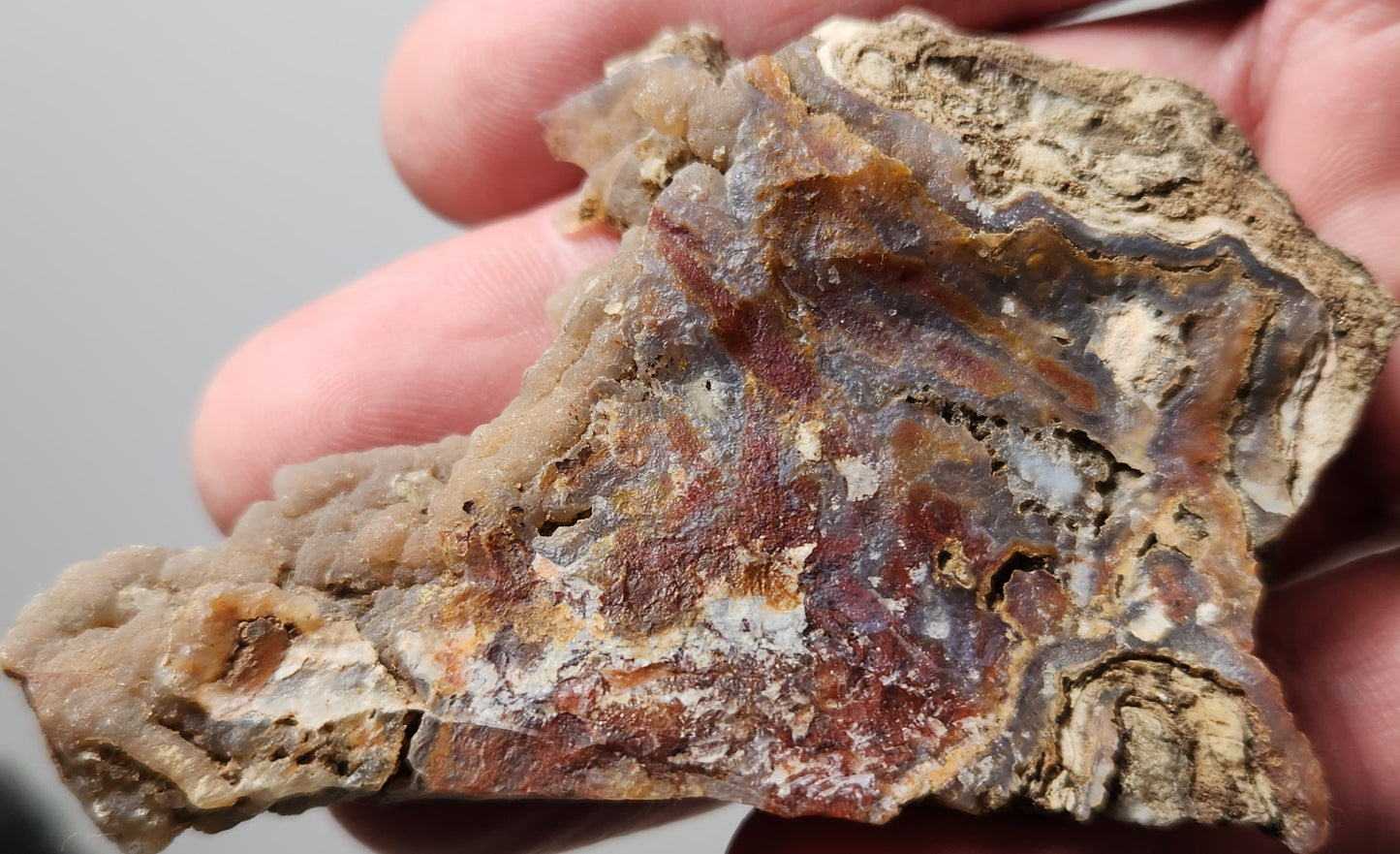 Rodeo Flats Blue Fortification with Red Plume and Onyx Agate Slab (End Piece)