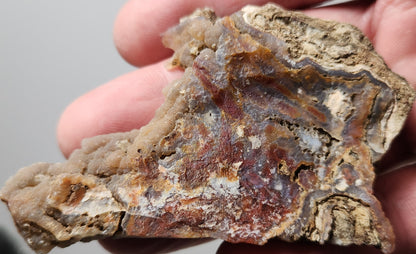 Rodeo Flats Blue Fortification with Red Plume and Onyx Agate Slab (End Piece)