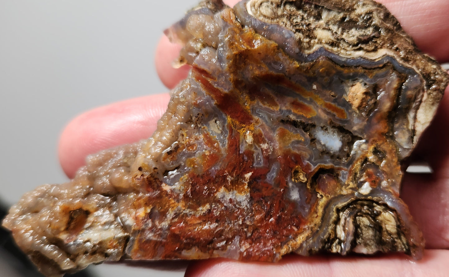 Rodeo Flats Blue Fortification with Red Plume and Onyx Agate Slab (End Piece)