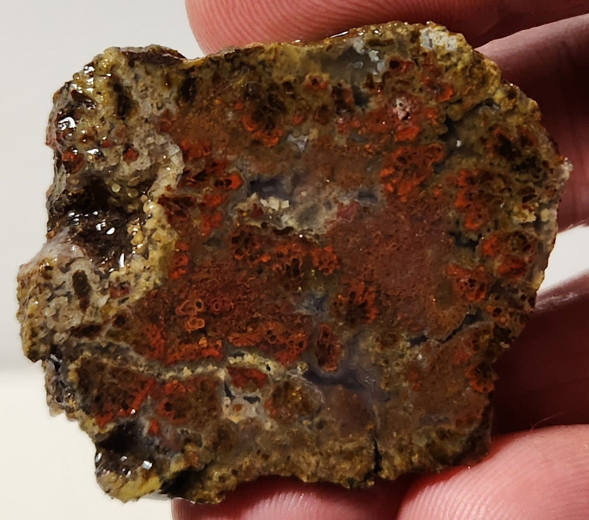 Losa de ágata de penacho de cuenca sangrienta (pieza final)