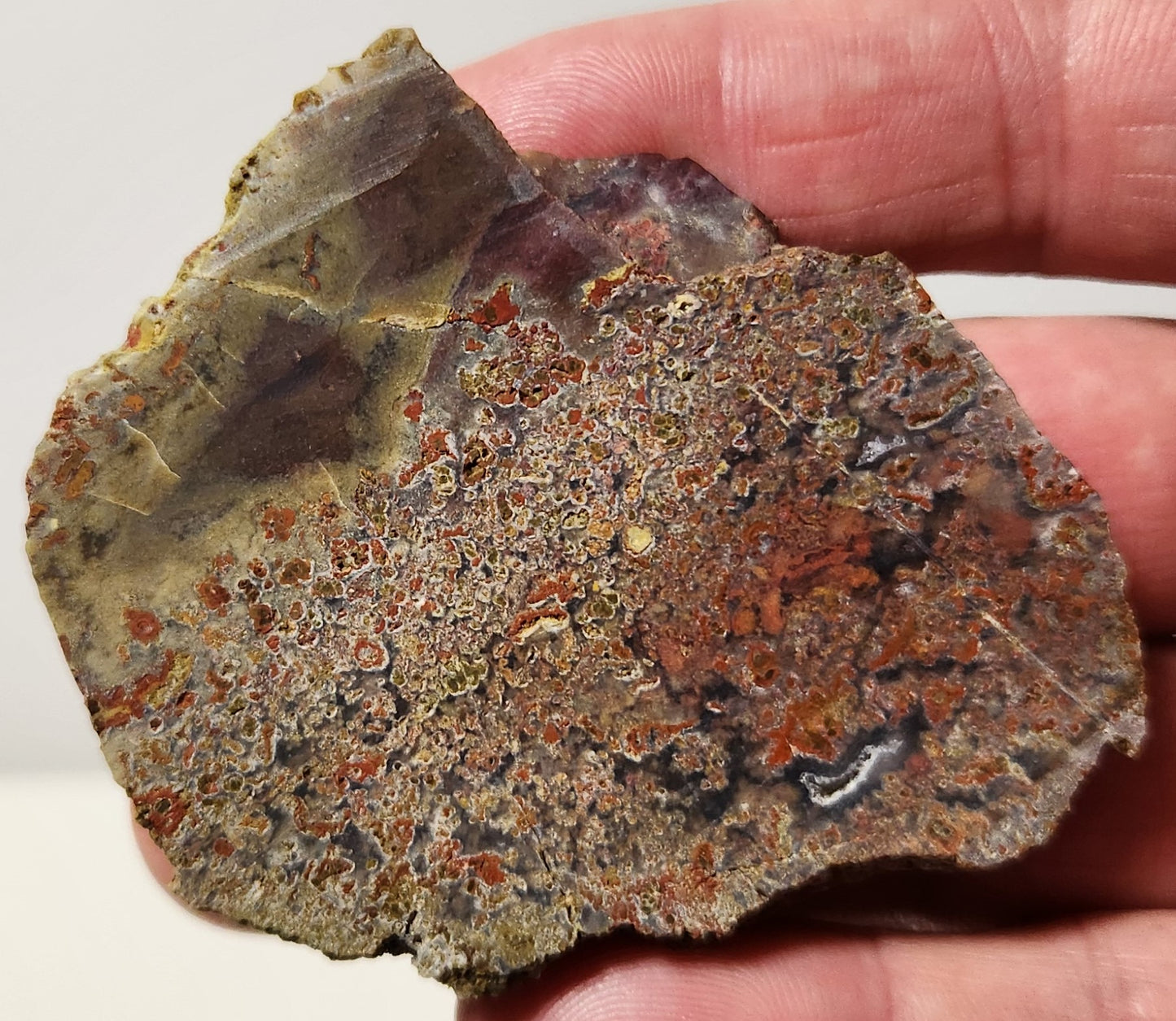 Dalle d’agate Plume de bassin sanglant (pièce d’extrémité)