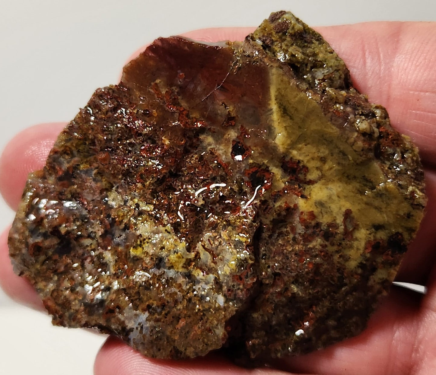 Dalle d’agate Plume de bassin sanglant (pièce d’extrémité)