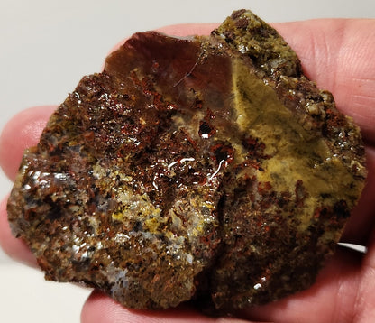 Dalle d’agate Plume de bassin sanglant (pièce d’extrémité)