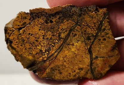 Dalle d’agate Plume de bassin sanglant (pièce d’extrémité)