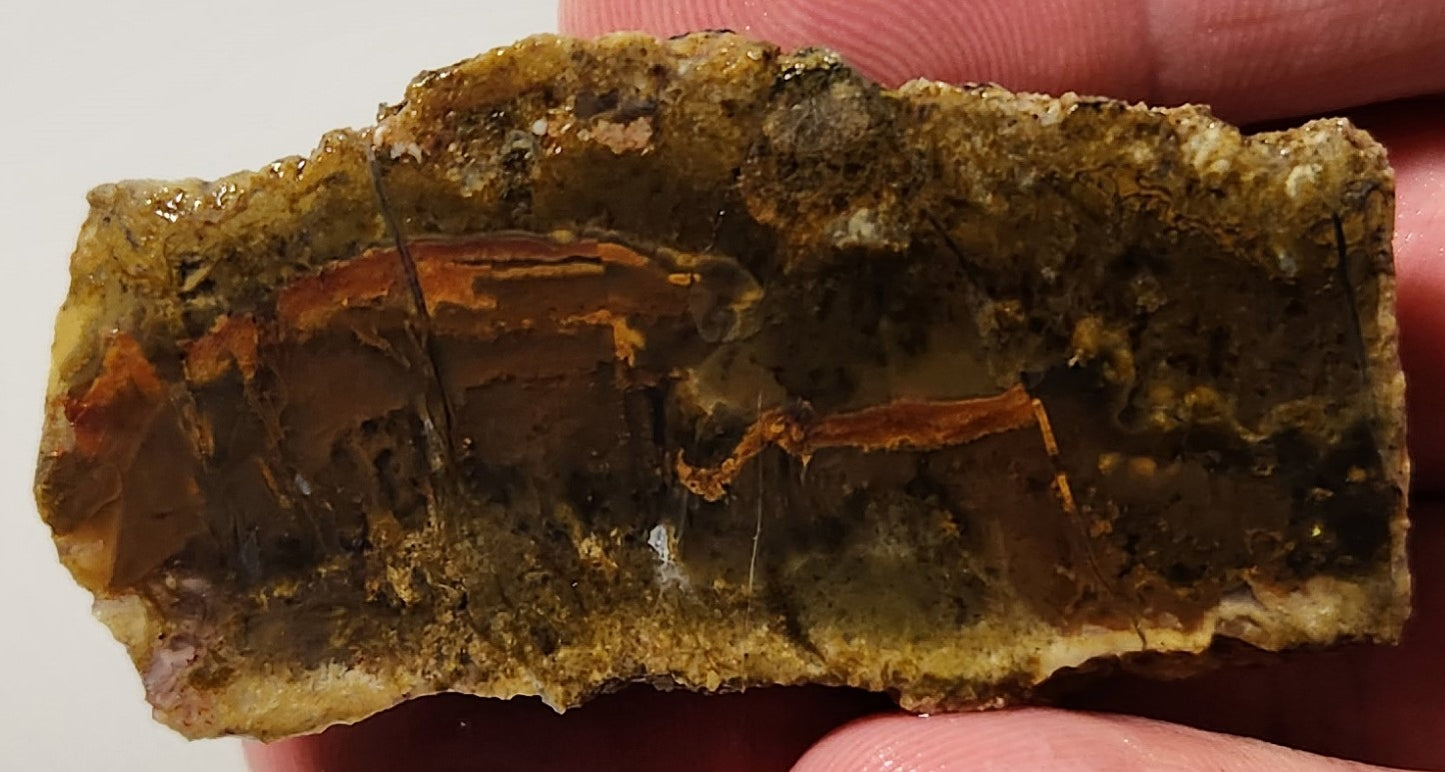 Dalle d’agate panache sanglante (pièce d’extrémité)