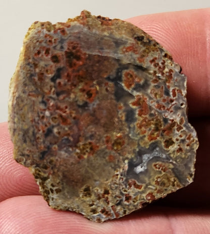 Dalle d'agate à plumes du bassin sanglant (pièce finale)