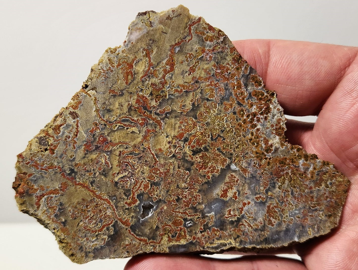 Dalle d'agate à plumes du bassin sanglant