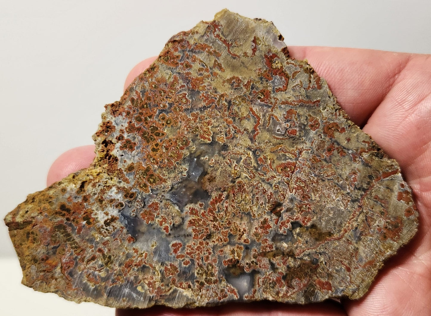 Dalle d'agate à plumes du bassin sanglant