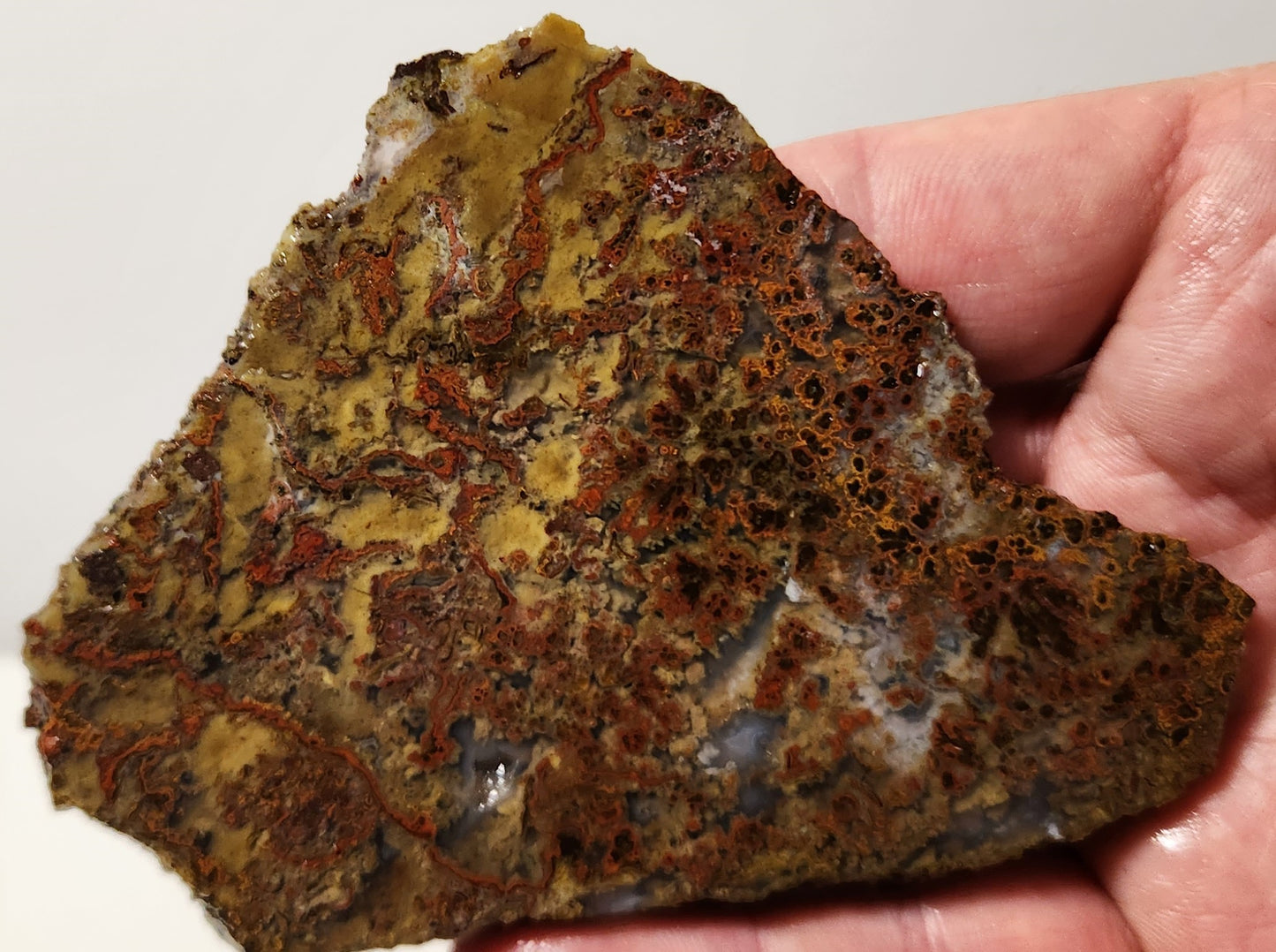 Dalle d'agate à plumes du bassin sanglant