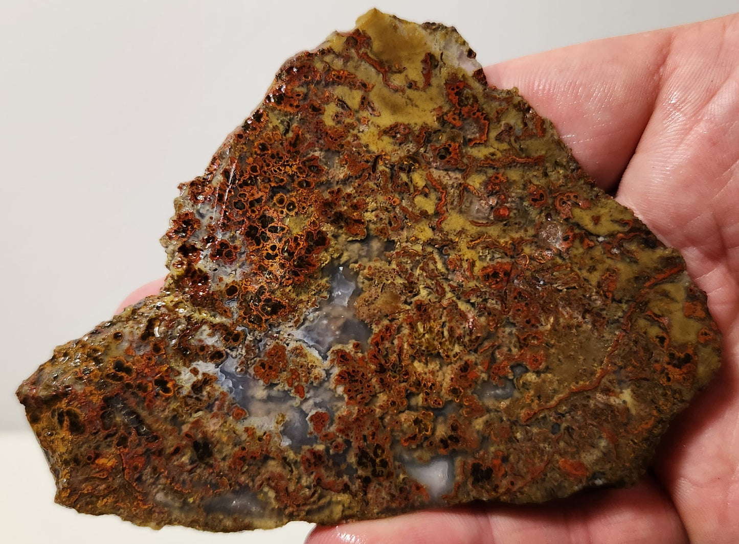 Dalle d'agate à plumes du bassin sanglant
