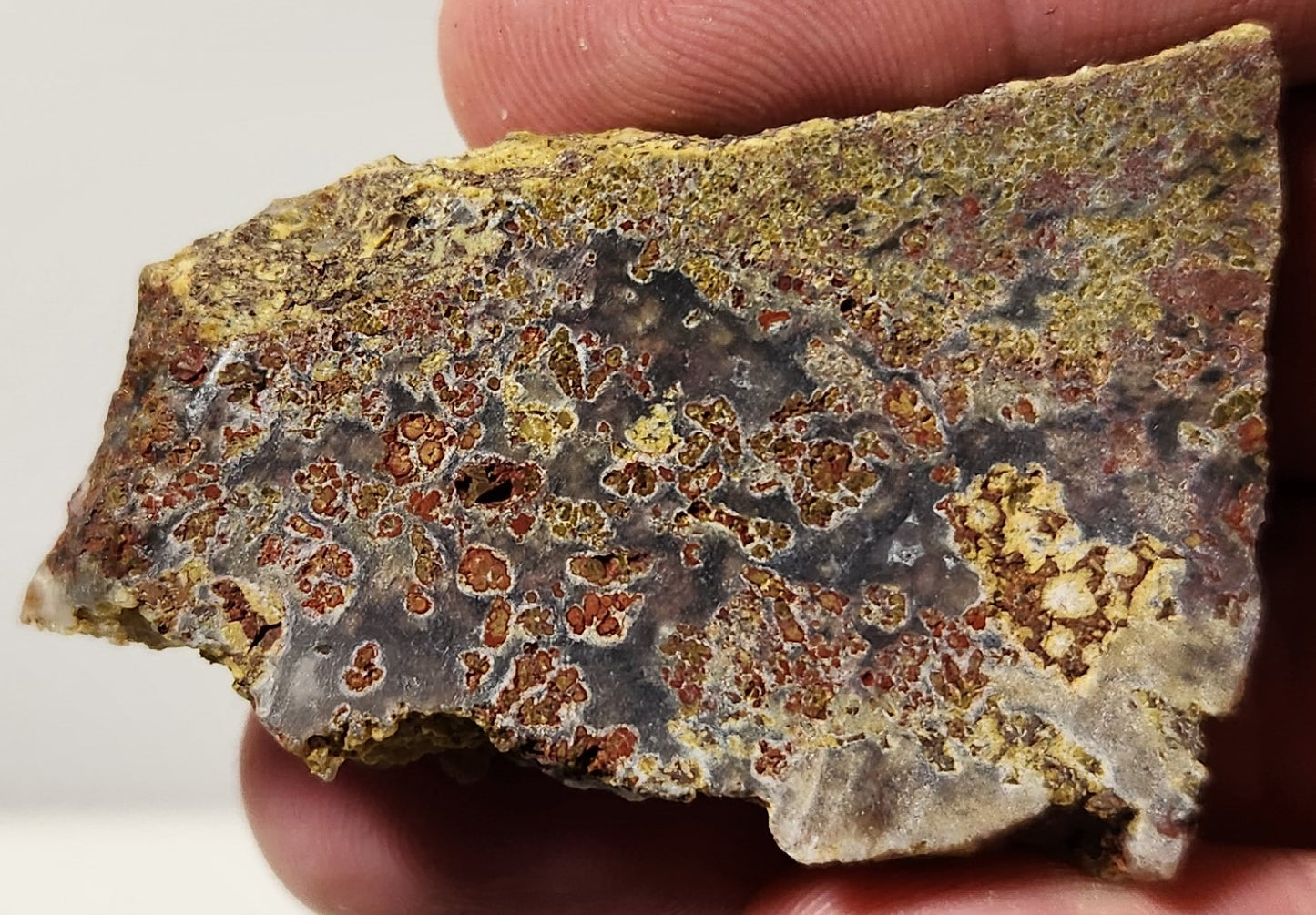 Dalle d'agate à plumes du bassin sanglant