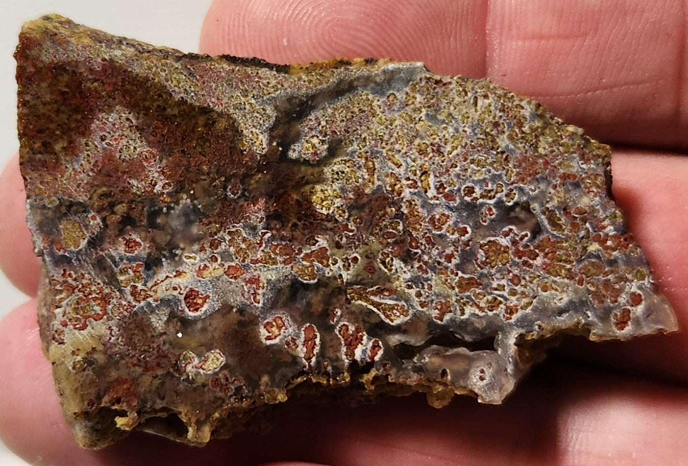Dalle d'agate à plumes du bassin sanglant
