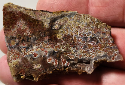Dalle d'agate à plumes du bassin sanglant