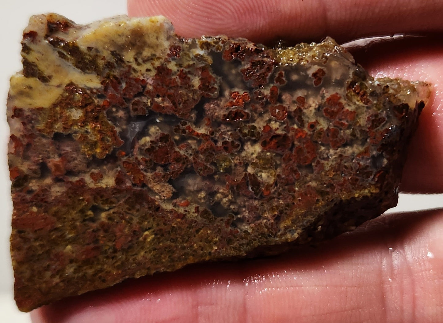 Dalle d'agate à plumes du bassin sanglant