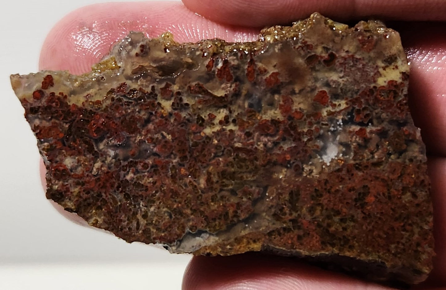 Dalle d'agate à plumes du bassin sanglant