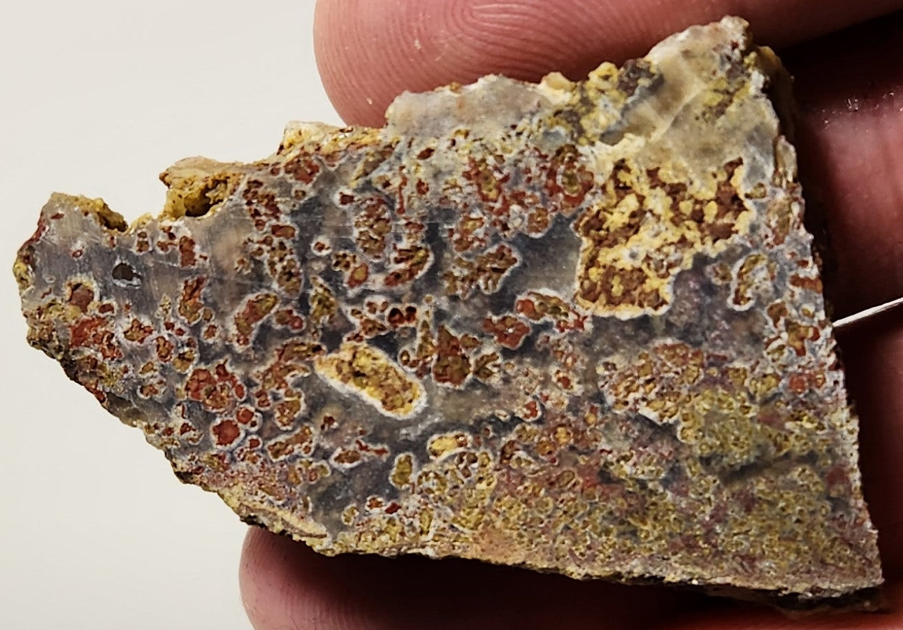 Dalle d'agate à plumes du bassin sanglant
