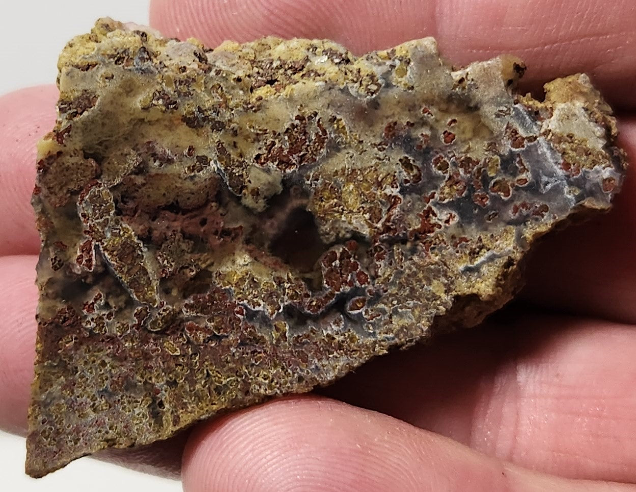 Dalle d'agate à plumes du bassin sanglant