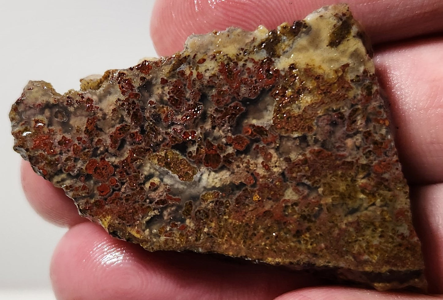 Dalle d'agate à plumes du bassin sanglant