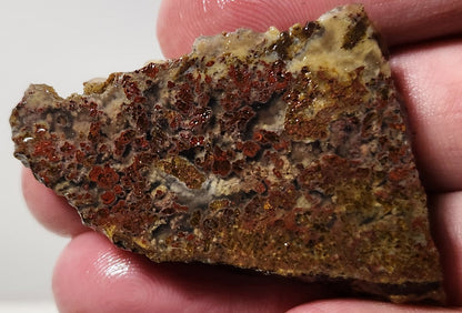 Dalle d'agate à plumes du bassin sanglant