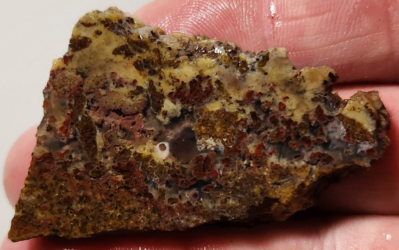 Dalle d'agate à plumes du bassin sanglant