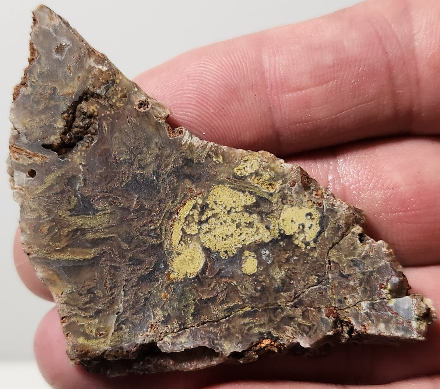 Dalle d'agate à plumes du bassin sanglant