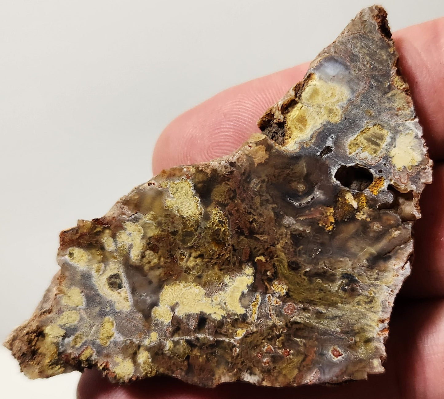 Dalle d'agate à plumes du bassin sanglant