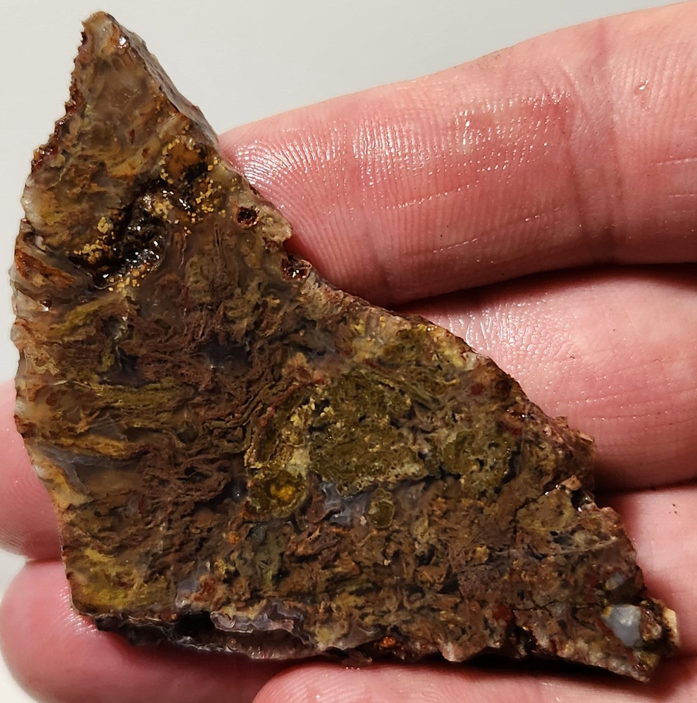 Dalle d'agate à plumes du bassin sanglant