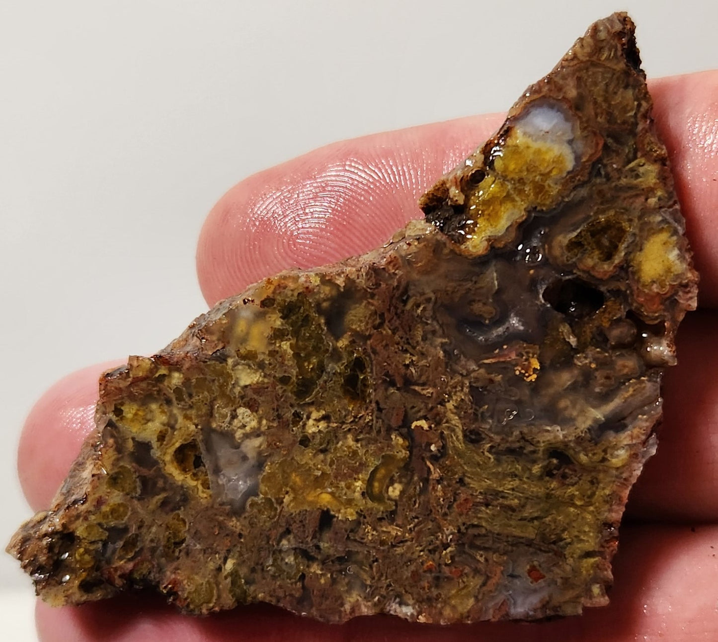 Dalle d'agate à plumes du bassin sanglant