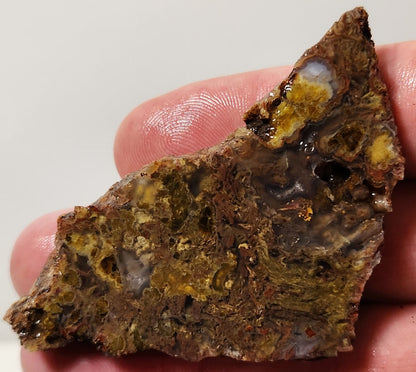 Dalle d'agate à plumes du bassin sanglant