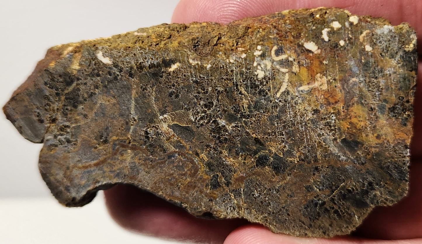 Dalle d'agate à plumes du bassin sanglant