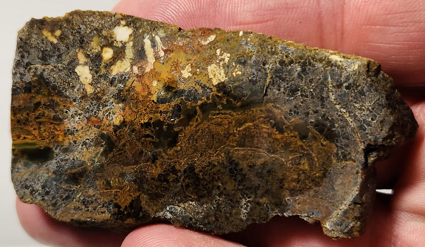 Dalle d'agate à plumes du bassin sanglant