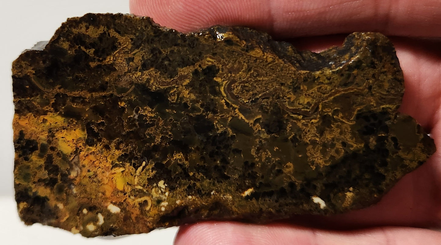 Dalle d'agate à plumes du bassin sanglant