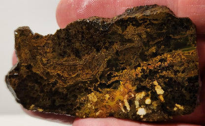 Dalle d'agate à plumes du bassin sanglant