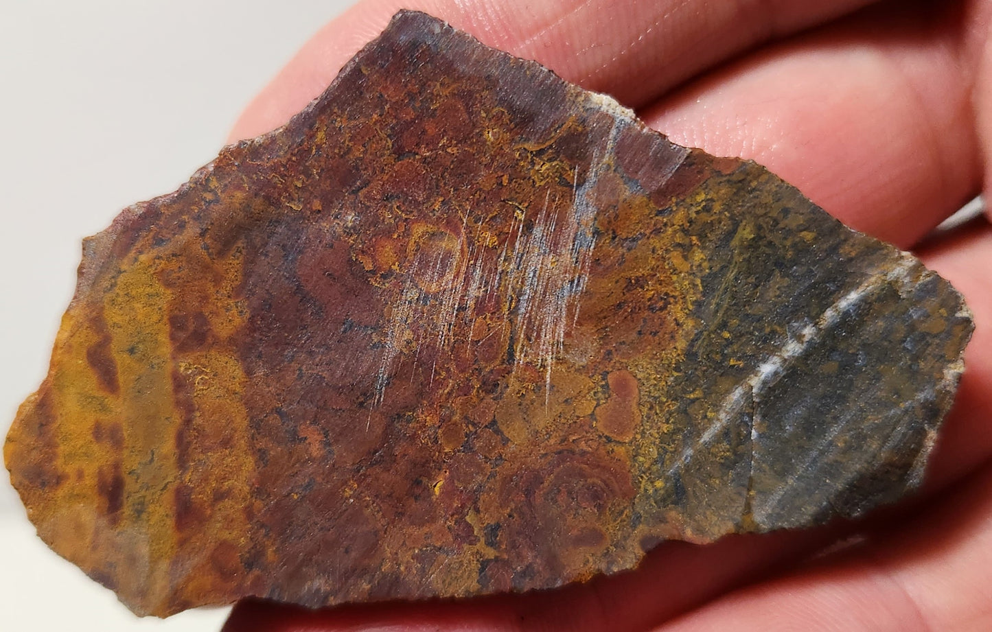 Dalle d'agate à plumes du bassin sanglant