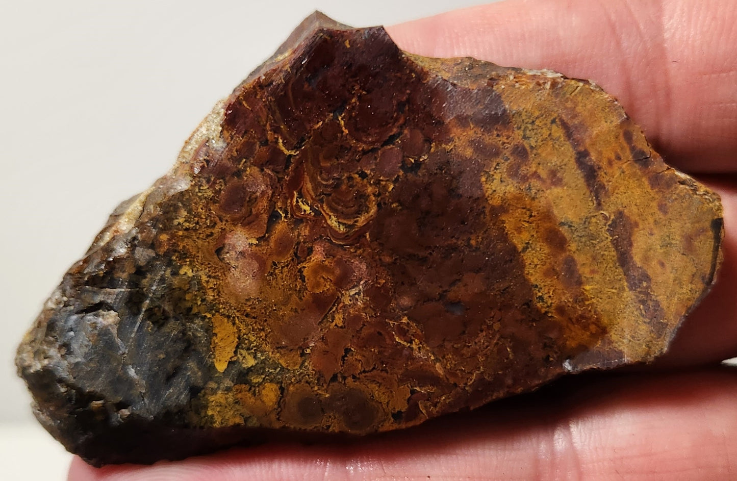 Dalle d'agate à plumes du bassin sanglant