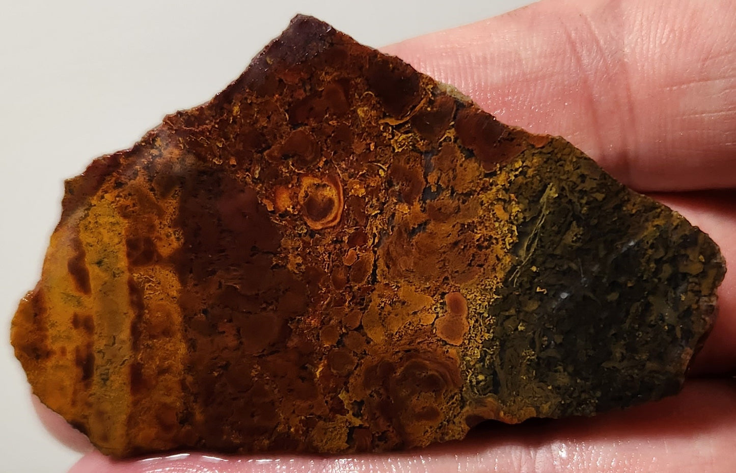 Dalle d'agate à plumes du bassin sanglant